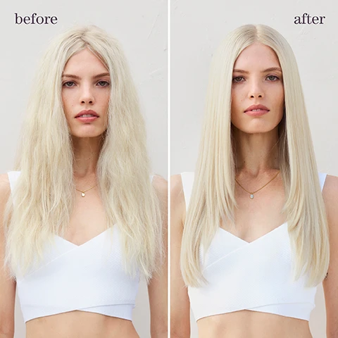Image 1 - Side-by-side image showing a woman with wavy, frizzy blonde hair on the left labeled before, and the same woman with smooth, straight blonde hair on the right labeled after.
              Image 2 - A woman with voluminous curly hair is shown in a side-by-side comparison, with the left image labeled before and the right labeled after, showcasing a transformation in her hairstyle.
              Image 3 - Bottle of Pureology Strength Cure Dream Healer Serum against a soft gradient background, with text stating restores up to 99% of original hair strength, up to 76% reduction in split ends, and up to 85% reduction of breakage.
              Image 4 - Image features a visual composition of three sections showing a blend of ingredients: on the left, a fluid with bubbles labeled lactic acid; in the top right, a fluid with bubbles labeled amino acid and the text mitigates future breakage; and at the bottom right, a powdery substance labeled citric acid, with the overarching text triple-action blend for multi-level repair.
              Image 5 - A person holds a bottle of Pureology Strength Cure Smoothing Serum in one hand while showcasing a small amount of the product in the other hand, with a soft-focus background of white and neutral-colored objects; the visible text reads can be used on dry or towel dried hair Warm 1 to 2 pumps in the palm & spread evenly from mid-lengths to ends. Do not rinse. Style as usual.
              Image 6 - Image of three hair care products from Pureology in a light blue background, labeled as strengthening routine, with the words shampoo, condition, and treat indicating their respective functions. The product bottles include STRENGTH CURE on the conditioner and STRENGTH CURE SCALP RELIEF SERUM on the treatment.
              Image 7 - An image divided into three sections features a green bergamot fruit on the left, amber resin on the bottom right, and a white jasmine flower on the top right, with the words fragrance, bergamot, jasmine, and amber clearly labeled.
              Image 8 - A light blue background displays information about a hair care product titled is it for me? STRENGTH CURE, listing that it is best for damaged, color-treated hair, suitable for all hair types and textures, offers benefits of restoring up to 99% of original hair strength, and instructs to use the flower bud on the cap to determine the right amount of product.
              Image 9 - Image shows three icons with text descriptions: the first icon represents vegan formulas with the text 100% vegan formulas*, the second icon represents sulfate-free formulas with the text 100% sulfate-free formulas, and the third icon represents the number of washes with the text Up to 80+ washes; washes in one bottle, all formulas are highly concentrated meaning less water needed, with a note at the bottom stating Every formula is made without animal products or by-products. PuraDesog never tests on animals.