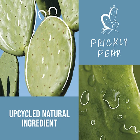 Image 1 - Image showing green prickly pear cactus pads with visible water droplets, accompanied by the text PRICKLY PEAR and UPCYCLING NATURAL INGREDIENT.
              Image 2 - A bottle of KMS Moist Repair shampoo is held in a hand covered in bubbles with a light blue background, featuring text stating that 93% said it gently cleanses the hair, 82% said hair feels very well cared for, and 80% said hair is smoother and softer, followed by a note about a consumer panel survey from June 2023.
              Image 3 - A person with light nail polish holds a white bottle of KMS Moist Repair conditioner against a blue background, with visible text indicating that 92% said it improves manageability, 89% said its highly effective, and 88% said it doesnt weigh down the hair, along with a small asterisk noting the source of this information.
              Image 4 - An image of a creamy white hair product with a smooth texture on a blue background, featuring the text highly-effective, our formulas with micro bio-actives penetrate deep into the hair, ensuring the best performance.
              Image 5 - A close-up of a creamy white substance being poured, with the text HIGHLY-EFFECTIVE OUR FORMULAS WITH MICRO BIO-ACTIVES PENETRATE DEEP INTO THE HAIR, ENSURING THE BEST PERFORMANCE.
              Image 6 - A person holds a bottle of KMS Moist Repair shampoo, featuring a white design with blue text, alongside icons indicating it is PETA approved, vegan formula, and made with upcycled natural ingredients.
              Image 7 - A person holds a white bottle of KMS Moist Repair conditioner, which features text indicating it is PETA approved, has a vegan formula, and contains upcycled natural ingredients.
              Image 8 - A woman is smiling in both sides of the image; on the left, she has long, straight hair and is wearing a white t-shirt, while on the right, her hair is styled in loose curls and she is wearing a black top, with visible text labelled BEFORE and AFTER at the bottom of each side.