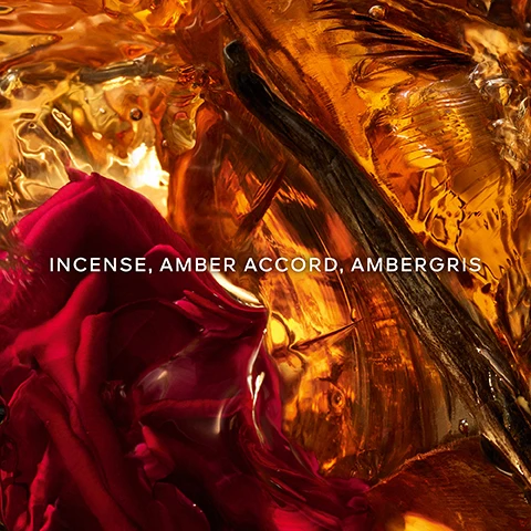 Image 1 - A close-up of a textured, amber-colored fluid with a deep red rose partially visible in the foreground, along with the text INCENSE, AMBER ACCORD, AMBERGRIS.
              Image 2 - A split image featuring a natural scene with flowers on the left, highlighting the text More Than 90% Natural Origin, and a deep red flower on the right displaying the text Organic Beetroot Alcohol, with the Absolus Allegoria collection logo at the bottom.
              Image 3 - A silhouetted boat with a curved sail glides across a shimmering water surface reflecting sunlight, accompanied by the text AN ENCHANTINGLY MYSTERIOUS JOURNEY TO THE HEART OF THE WONDERS OF THE WORLD AT NIGHTFALL and the name © YANN ARTHUS-BERTRAND.