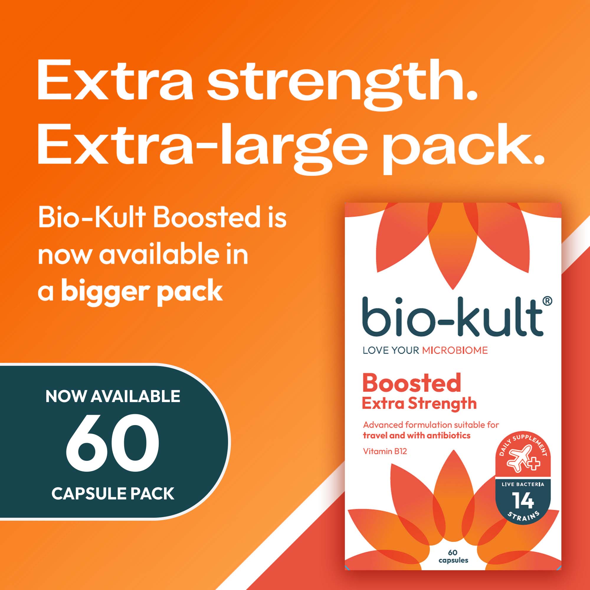 Image 3 - An orange promotional image for Bio-Kult Boosted featuring the product package, with text that reads Extra strength. Extra-large pack. Bio-Kult Boosted is now available in a bigger pack. NOW AVAILABLE 60 CAPSULE PACK.