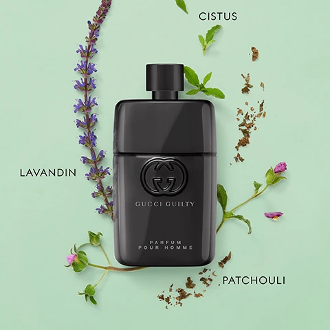 Image 3 - A black Gucci Guilty Parfum Pour Homme bottle is surrounded by plants with text labels Lavandin, Cistus, and Patchouli. Image 6 - Five Gucci Guilty Pour Homme fragrance bottles are displayed with botanical elements and a red chili pepper, with labels below reading EAU DE TOILETTE ESSENCE EAU DE TOILETTE EAU DE PARFUM GUILTY PARFUM ELIXIR DE PARFUM INTENSITY and showing intensity levels with dots.