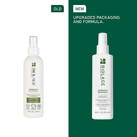 Image 1 - Image comparing two bottles of Biolage Strength Recovery spray, with the left showing the old packaging labeled OLD and the right showing the new packaging labeled NEW, along with the text UPGRADED PACKAGING AND FORMULA.
              Image 2 - A close-up view of shiny, straight hair with visible text that reads, REPAIRS HAIR STRENGTH AND HELPS PROTECT FROM HEAT UP TO 230°C.
              Image 3 - An olive branch with leaves and an olive is shown under a transparent sphere, along with the text FORMULATED WITH OLIVE SQUALANE To lock in nourishment while protecting the surface of your hair to reduce breakage.
              Image 4 - An image of a green-tinted round bottle cap resting on a flat surface, accompanied by text that reads MICRO-DOSED STRENGTHENING CONCENTRATE, 21 micrograms per 100 ml, Olive squalane [Distilled], and Proteins [Distilled].
              Image 5 - Alt text: Green background with white text stating IS IT FOR ME? STRENGTH RECOVERY, followed by categories for BEST FOR, HAIR TYPE, and KEY BENEFITS, listing that it is for damaged and colour-treated hair, suitable for fine to thick hair, and provides strength and nourishment.
              Image 6 - Three hair care products from Biolage are displayed on a green background: a shampoo labeled Strength Recovery in a white bottle, a conditioner also labeled Strength Recovery in a white tube, and a repairing spray labeled Strength Recovery in a white spray bottle, with the words Cleanse, Condition, and Prep above each product.
              Image 7 - A transparent apparatus filled with liquid and bubbles is shown against a green background, with text indicating that it is formulated with proteins to strengthen and nourish the hair.