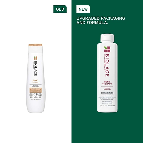 Image 1 - An image comparing an old Biolage Bond Therapy shampoo bottle and a new one with text OLD NEW UPGRADED PACKAGING AND FORMULA. BIOLAGE PROFESSIONAL BOND THERAPY SHAMPOO SHAMPOOING FOR OVERPROCESSED HAIR coconut oil + citric acid POUR LES CHEVEUX SUR-SOLLICITÉS huile de coco + acide citrique VEGAN FORMULA Cruelty Free International 100% Recycled Tube 8.4 FL. OZ. / 250 ml e BIOLAGE PROFESSIONAL HAIR SPA BOND THERAPY SHAMPOO SHAMPOOING BONDING CONCENTRATE with coconut oil + citric acid 19 micrograms per 100 ml CONCENTRÉ RÉPARATEUR DE LIAISONS à lhuile de coco + acide citrique In: microgrammes par 100 ml OVER-PROCESSED HAIR CHEVEUX SUR-TRAITÉS 13.5 FL. OZ. 400 ml e.
              Image 2 - Close-up of curly, highlighted hair with text overlay stating UP TO 3X LESS BREAKAGE* UP TO 14X MORE CONDITIONED HAIR** *High repetition, instrumental test. Shampoo and conditioner vs non-conditioning shampoo on bleached hair. **Instrumental test. Shampoo and Conditioner vs non-conditioning shampoo.
              Image 3 - A close-up of a coconut with a drop of oil dripping and text saying FORMULATED WITH COCONUT OIL To shield strands for supreme smoothness.
              Image 4 - A product display with text on the left and a close-up of a white liquid on the right reading MICRO-DOSED BONDING CONCENTRATE 19 micrograms per 100 ml Coconut oil [Pressed] Citric acid [Fermented].
              Image 5 - Text on a dark green background lists information about Bond Therapy under the title IS IT FOR ME? BOND THERAPY, including BEST FOR Over-processed hair Suitable for colour-treated hair, HAIR TYPE Fine to coarse, KEY BENEFITS Reinforces weakened bonds strengthens softens smooths, and a white logo.
              Image 6 - Abstract image of interconnected glass spheres and tubes with droplets on a green background, with text that reads FORMULATED WITH CITRIC ACID To reinforce weakened bonds to improve strength and resilience.
              Image 7 - Four Biolage Bond Therapy hair care products are displayed labeled 01 Treat, 02 Cleanse, 03 Condition, 04 Protect, featuring the Intensive Treatment, Shampoo, Conditioner, and Repairing Leave-In Cream.