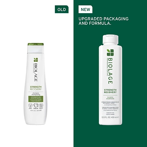 Image 1 - Image shows two shampoo bottles side by side: the left bottle is labeled OLD with the text STRENGTH RECOVERY shampoo for damaged hair and the right bottle is labeled NEW with the text UPGRADED PACKAGING AND FORMULA and STRENGTH RECOVERY SHAMPOO STRENGTHENING CONCENTRATE WITH MENDING PROTEINS 12 infusions to restore damaged hair.
              Image 2 - A close-up of the back of a womans head showcasing sleek, shiny hair, with the text UP TO 44% LESS BREAKAGE* and a footnote about a hair products effectiveness.
              Image 3 - An olive branch with leaves and a green olive is shown alongside a droplet magnifying the foliage, featuring the text FORMULATED WITH OLIVE SQUALANE To lock in nourishment while protecting the surface of your hair to reduce breakage.
              Image 4 - A close-up image of a round, translucent, bubble-like product with visible air bubbles, accompanied by green text on the left that reads MICRO-DOSSED STRENGTHENING CONCENTRATE 12 micrograms per 100 ml Olive squalane [Distilled] Proteins [Distilled].
              Image 5 - A green image with white text that reads IS IT FOR ME? STRENGTH RECOVERY BEST FOR Damaged hair. Suitable for colour-treated hair. HAIR TYPE Fine to thick. KEY BENEFITS Strength and nourishment.
              Image 6 - Three Biolage hair care products are displayed against a gradient green background, labeled 01 Cleanse, 02 Condition, and 03 Prep, with the shampoo, conditioner, and a repairing spray shown; text on the packaging includes STRENGTH RECOVERY and descriptions indicating the use for damaged hair.
              Image 7 - A transparent glass container with water and bubbles is depicted against a green background, accompanied by the text formulated with proteins and to strengthen and nourish the hair.