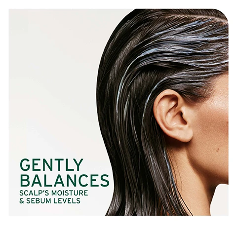Image 1 - Close up of a persons head and hair with product applied to the scalp with text overlay reading GENTLY BALANCES SCALPS MOISTURE & SEBUM LEVELS. Image 2 - Close-up of green leaves and a water drop magnifying the leaf veins with the text FORMULATED WITH TEA BLEND To help reduce irritation and itchiness for a refreshing scalp reset. Image 3 - A green background with text on the left and a close-up of clear liquid with bubbles on the right, featuring the text MICRO-DOSED BALANCING CONCENTRATE Tea blend [Fermented] Glycolic acid [Filtered]. Image 4 - Text on a green background lists product benefits: IS IT FOR ME? SCALP SYNC BEST FOR Oily scalp. HAIR TYPE Fine to thick. KEY BENEFITS Cleanses hair and rebalances scalp. Image 5 - Four Biolage Scalp Sync hair care products are shown on a shelf with steps 01 Pre-wash, 02 Cleanse, 03 Condition, 04 Treat above them. Image 6 - Close up of a glass dropper dripping liquid into a glass flask on a green background with the text FORMULATED WITH GLYCOLIC ACID To help clear away product buildup and dead cells to support a balanced scalp.