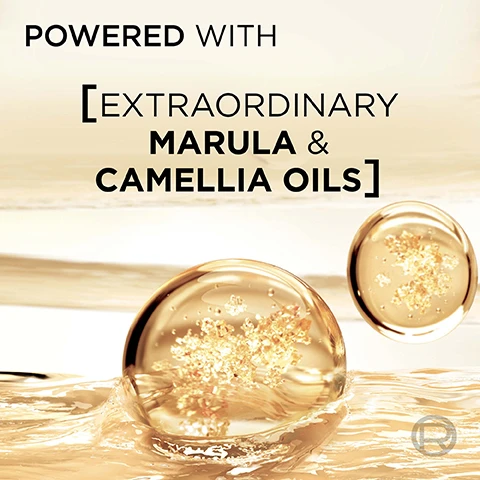 Image 1 - Two golden oil droplets with shimmering particles on a golden liquid surface with the text POWERED WITH [EXTRAORDINARY MARULA & CAMELLIA OILS]. Image 2 - A woman with curly hair stands next to a bottle of LOréal Elvive Extraordinary Oil Nourishing Shampoo with visible text that reads LOREAL PARIS ELVIVE EXTRAORDINARY OIL NOURISHING SHAMPOO SILICONE FREE MARULA + CAMELLIA OILS Up to 8 weeks of nourishment DRY HAIR UP TO 8 WEEKS OF NOURISHMENT YOURE WORTH IT. LOREAL PARIS. Image 3 - A woman with curly hair poses with a bottle of LOreal Elvive Extraordinary Oil Nourishing Conditioner with text LOREAL PARIS ELVIVE EXTRAORDINARY OIL NOURISHING CONDITIONER [MARULA + CAMELLIA OILS] UP TO 8 WEEKS OF NOURISHMENT DRY HAIR, and promotional text UP TO 8 WEEKS OF NOURISHMENT YOURE WORTH IT. Image 4 - A woman with curly hair poses with a bottle of LOréal Elvive Extraordinary Oil Miracle Hair Serum with visible text LOréal Paris LOréal Elvive Extraordinary Oil Miracle Hair Serum DRY HAIR UP TO 6X MORE SHINE YOURE WORTH IT INSTRUMENTAL TEST. Image 5 - Image shows a bottle of LOreal Elvive Extraordinary Oil Miracle Hair Serum with text MULTI-TASKING HAIR OIL: +92% NOURISHMENT* UP TO 230°c HEAT PROTECTION* UP TO 6X MORE SHINE* UP TO 72H FRAGRANCE** LOREAL PARIS ELVIVE EXTRAORDINARY OIL MIRACLE HAIR SERUM (MARULA + CAMELLIA OILS) Up to 6x more shine* DRY HAIR *INSTRUMENTAL TESTS **SENSORY TEST. Image 6 - Image showing before and after transformations of curly, blonde, and brown hair with text TRANSFORMS ALL TYPES OF HAIR BEFORE AFTER. Image 7 - Four bottles of LOreal Elvive Extraordinary Oil hair products are shown with text describing a routine. ROUTINE FOR INTENSE HAIR NOURISHMENT STEP 1 SHAMPOO STEP 2 CONDITIONER STEP 3 DAY SERUM STEP 4 NIGHT SERUM LOREAL PARIS ELVIVE EXTRAORDINARY OIL NOURISHING SHAMPOO SILICONE FREE DRY HAIR LOREAL ELVIVE EXTRAORDINARY OIL NOURISHING CONDITIONER DRY HAIR LOREAL ELVIVE EXTRAORDINARY OIL MIRACLE HAIR DRY HAIR LOREAL ELVIVE EXTRAORDINARY OIL MIDNIGHT SERUM DRY HAIR