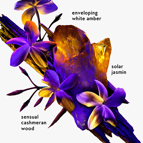 A vibrant artistic composition features purple flowers and wood contrasted with golden amber-like crystals, with text labels reading enveloping white amber, solar jasmin, and sensual cashmeran wood.