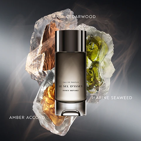 Image 1 - A dark gradient perfume bottle stands centrally, surrounded by elements representing fragrance notes: a light crystalline structure labeled CEDARWOOD, green marine seaweed labeled MARINE SEAWEED, and a golden amber resin labeled AMBER ACCORD, while the bottle itself reads EAU DE PARFUM LE SEL DISSEY ISSEY MIYAKE. Image 2 - The image displays two dark, sleek perfume bottles for Le Sel dIssey, one tall and one shorter, against a smoky brown background, with three commitment icons to the right, and the visible text states: ISSEY MIYAKES COMMITMENTS, EAU DE PARFUM LE SEL DISSEY ISSEY MIYAKE, 94% NATURAL ORIGIN INGREDIENTS, REFILLABLE BOTTLE, VEGAN CERTIFIED. Image 3 - An opaque gray refill bottle with a nozzle and a transparent rectangular perfume bottle stand on a reflective surface against a smoky background, with a circular refillable bottle icon in the top right and text across the bottom. Visible text: REFIILLABLE BOTTLE, LE SEL DISSEY, ISSEY MIYAKE, EAU DE PARFUM, THE REFILLABLE FRAGRANCE FOR MEN.