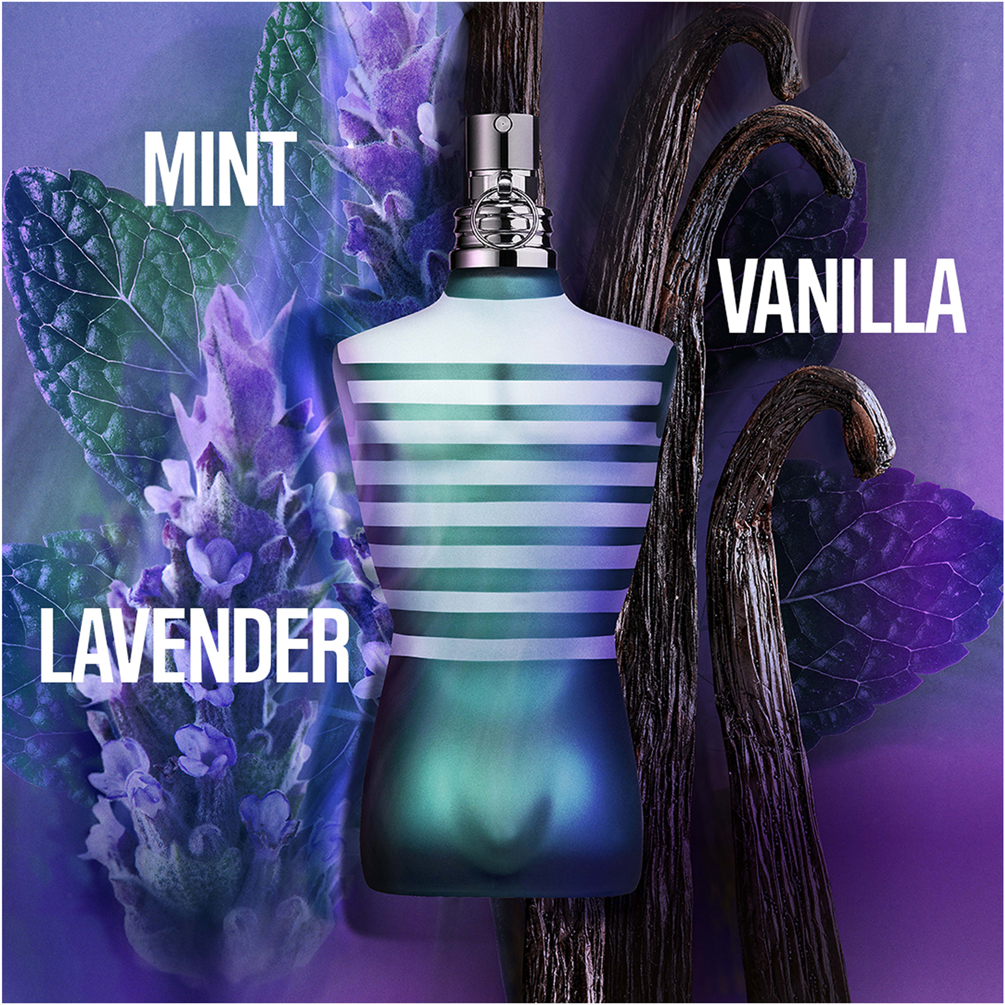 A perfume bottle shaped like a male torso with white and green stripes and a metallic cap is centered, surrounded by mint leaves, lavender flowers, and vanilla pods, with the words MINT, VANILLA, and LAVENDER displayed.
