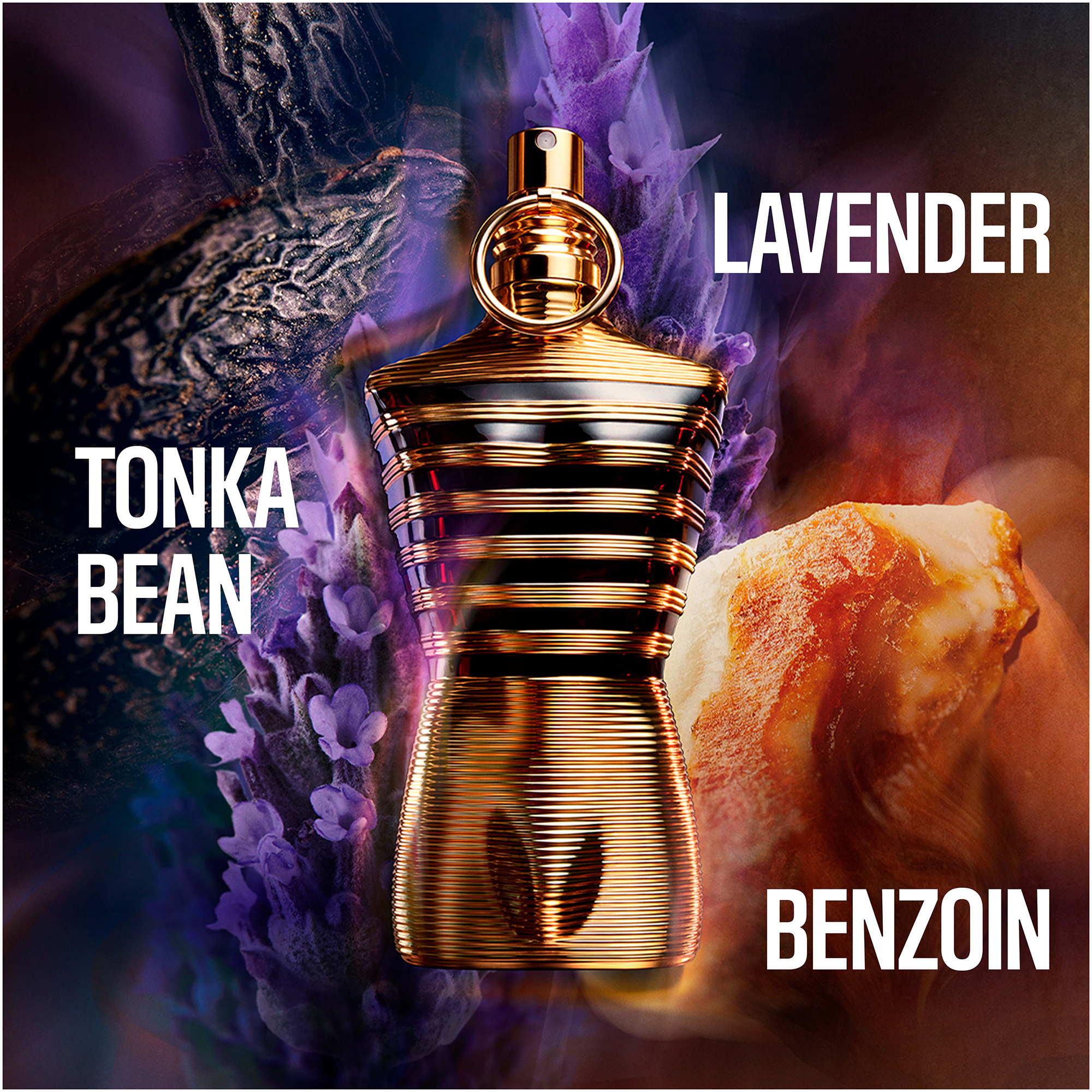 A gold and black ribbed perfume bottle shaped like a torso is surrounded by its scent notes: dark tonka bean, purple lavender flowers, and a rough piece of light brown benzoin resin, with the text Tonka Bean, Lavender, Benzoin.