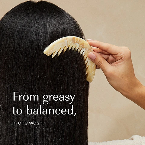 Image 1 - A hand holds a decorative, light marbled comb against long, dark hair with the text From greasy to balanced, in one wash. Image 2 - The image shows two tubes of conditioner, with the old off-white packaging on the left and the new dark teal packaging on the right, accompanied by the text New Look, Same formula you love; the left tube displays izil, GHASSOUL, CLAY, LEMONGRASS, EUCALYPTUS & COCONUT WATER, NOURISHES, DETOXIFIES, BALANCE SEBUM, REVITALIZE, & PURIFY, OILY HAIR & SCALP, then below a line: +BALANCE, OIL CONTROL, GHASSOUL BALANCING CONDITIONER, APRES-SHAMPOOING EQUILIBRANT, WITH GHASSOUL CLAY, and Arabic text; the right tube displays izil, OIL CONTROL, GHASSOUL BALANCING CONDITIONER, REDUCE EXCESS SEBUM, REVITALISE & PURIFY, LEMONGRASS EUCALYPTUS COCONUT WATER, OILY HAIR & SCALP, APRES-SHAMPOOING EQUILIBRANT, and Arabic text.