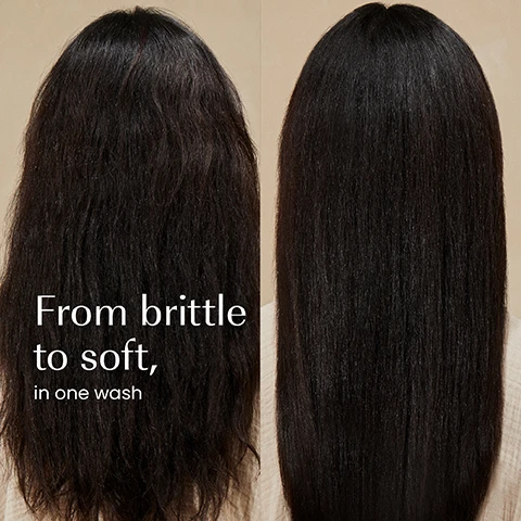 Image 1 - A split image shows long dark hair that is frizzy and brittle on the left, and the same hair looking smooth and soft on the right, with the text From brittle to soft, in one wash. Image 2 - A teal conditioner tube stands on a beige surface, surrounded by ingredients like chia seeds in a beaker, various nuts, and shea butter, with visible text including CHIA SEED EXTRACT (PROCUTIGEN BOND), ARGAN OIL, SHEA BUTTER, and on the tube: izil DRY REPAIR ALMOND HYDRATING CONDITIONER DEEPLY HYDRATE, RESTORE SOFTNESS & SMOOTH HAIR Macadamia Oil · Argan Oil · Shea Butter · Chia Seed Extract APRÈS-SHAMPOOING HYDRATANT À L’AMANDE بلسما مرطبا للشعر الجاف DRY & DAMAGED HAIR. Image 3 - A close-up of a light beige, creamy substance with visible textures and ripples, displaying the text 97.14% NATURAL, HALAL, SILICONE-FREE, CRUELTY-FREE, FREE FROM GMOS, ALCOHOL, ARTIFICIAL COLOURS & FRAGRANCE. Image 4 - The image displays four Izil hair care products, an aloe vera leaf, mint leaves, argan nuts, and almond flakes, arranged on light stones on a beige background; from left to right, these are a small bottle of Izil Nutricare Argan Nourishing Hair Serum Strengthen, Tame Frizz, labeled Tame; a white bottle of Izil Nutricare Argan Nourishing Shampoo Nourish, Hydrate & Soften, All Hair Types, labeled Shampoo; a teal tube of Izil Dry Repair Almond Hydrating Conditioner Deeply Hydrate, Restore Softness & Smooth Hair, Dry & Damaged Hair, labeled Condition; and a yellow bottle of Izil Dry Repair Botanical Hydrating Oil Strengthen, Hydrate & Nourish, labeled Nourish. Image 5 - The image displays two tubes of Izil Dry Repair Almond Hydrating Conditioner side-by-side, depicting a packaging update from an old white tube to a new dark teal tube, with the text New Look Same formula you love.