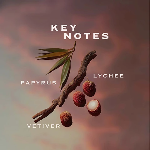 Image 1 - The image shows a dark wooden branch with green leaves and four red lychee fruits, one of which is peeled to reveal white flesh, all set against a gradient background of purples and oranges, with the visible text Key Notes, Papyrus, Vetiver, Lychee. Image 2 - The image shows five Orabella perfume bottles with gold caps and faceted glass bodies in shades of pink, orange, red-brown, green, and dark brown, each presented above a selection of its natural ingredients, with text detailing the fragrances: WINDOW2SOUL SHEER FLORAL Jasmine Rose Tonka Bean, BLOOMING FIRE WARM FLORAL Monoi Bergamot Patchouli, ETERNAL ROOTS WOODY FRUITY Lychee Papyrus Vetiver, SALTED MUSE WOODY MARINE Sea Salt Olive Tree Cedarwood, NIGHTCAP WARM & SPICY GOURMAND Vanilla Ginger Sandalwood.