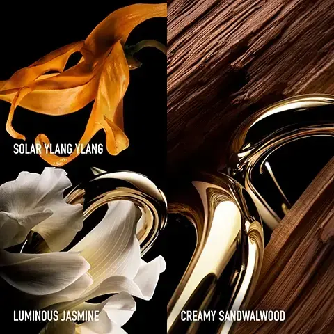 Image 1 - An image divided into four sections shows an orange Ylang Ylang flower, white Jasmine flowers, textured dark wood, and shiny golden abstract shapes, with the text Solar Ylang Ylang, Luminous Jasmine, and Creamy Sandwalwood. Image 2 - Two Million Gold perfume bottles are displayed, the left gold bottle described as Solar & Sensual, the right dark gold Parfum bottle described as Floral & Woody, with a scent spectrum from + Sweet to + Floral at the bottom. Image 3- A faceted gold perfume bottle with a black rabanne branded cap and gold chain detail is displayed on a reflective surface against a textured gold background, accompanied by text that reads MILLION GOLD PARFUM, five white stars, and a testimonial: I SMELL LIKE A MILLION DOLLARS. THE SMELL IS AMAZING ITS NICE AND STRONG, AND LASTS FOR A LONG TIME - VICKY, with the rabanne logo also visible at the bottom of the image.