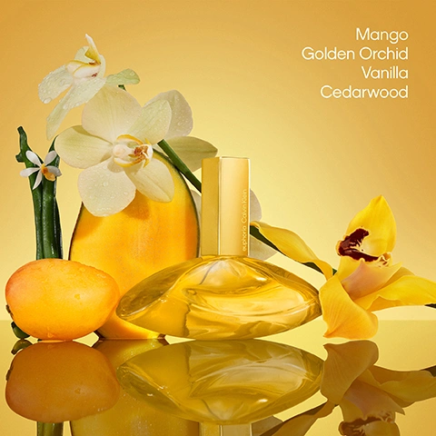 Image 1 - A golden Calvin Klein Euphoria perfume bottle with euphoria Calvin Klein written vertically on its side is set among fresh mangoes, dewy yellow and white orchids, and a green vanilla pod on a reflective yellow surface, with the prominent text Mango Golden Orchid Vanilla Cedarwood in the upper right. Image 2 - A golden perfume bottle with a sculptural base and a rectangular cap stands on a reflective surface against a yellow gradient background, next to visible text that reads euphoria solar elixir 97% of customers recommend this fragrance -Home Tester Club, along with 4.7 STAR RATING and euphoria Calvin Klein written vertically on the bottle. Image 3 - The image shows three Calvin Klein euphoria elixir fragrances: a pink bottle with pink orchids and vanilla beans for magnetic elixir, described as Musky Vanilla, Ambrette, Dancing Orchid, Vanilla & Musks; a purple bottle with purple orchids and vanilla beans for bold elixir, described as Oakwood Vanilla, Jasmine, Smoky Orchid, Vanilla & Oakwood; and a golden bottle with yellow orchids, a green vanilla pod, and mango for solar elixir, described as Mango Vanilla, Mango, Golden Orchid, Vanilla & Cedarwood, with euphoria Calvin Klein branding at the top and on each bottle cap. Image 4 - Three Calvin Klein Euphoria perfume bottles, colored pink, gold, and purple, are displayed with their reflections on a gold surface, featuring the text ultra-concentration for amplified lasting power above them, and euphoria Calvin Klein printed vertically on each bottles cap.