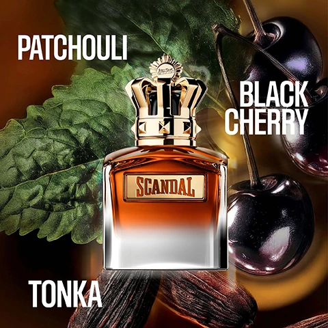 Image 1 - A perfume bottle with amber liquid and a gold crown cap, displaying Jean Paul Gaultier on the crown and SCANDAL on its label, is surrounded by a green leaf labeled PATCHOULI, dark cherries labeled BLACK CHERRY, and tonka beans labeled TONKA. Image 2 - The image features four Scandal perfume bottles with gold crown caps against botanical backgrounds, titled Scandal at the top, with each bottle labeled: Scandal Eau de Toilette Ambery Woody, Scandal Intense Eau de Parfum Intense Leather Woody, Scandal Le Parfum Eau de Parfum Intense Woody Ambery, and Scandal Elixir Parfum Fruity Amber, and the word Scandal visible on each bottle and accompanying icon.