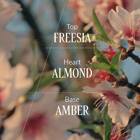 Image 1 - A blurred background of pink and white almond blossoms with green leaves displays text describing fragrance notes: Top FREESIA, Heart ALMOND, Base AMBER. Image 2 - A persons hands hold two unshelled almonds against a blurred earthy background, with white text that reads Made with 94% Natural Origin Ingredients Vegan.