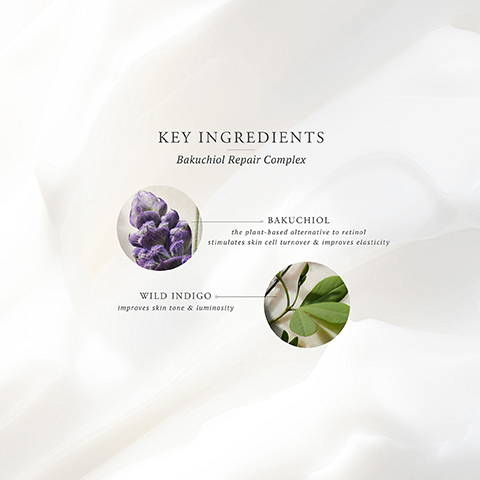 The image shows key ingredients for Bakuchiol Repair Complex against a creamy white background, with a purple flower labeled Bakuchiol the plant-based alternative to retinol stimulates skin cell turnover & improves elasticity, and green leaves labeled Wild Indigo improves skin tone & luminosity.