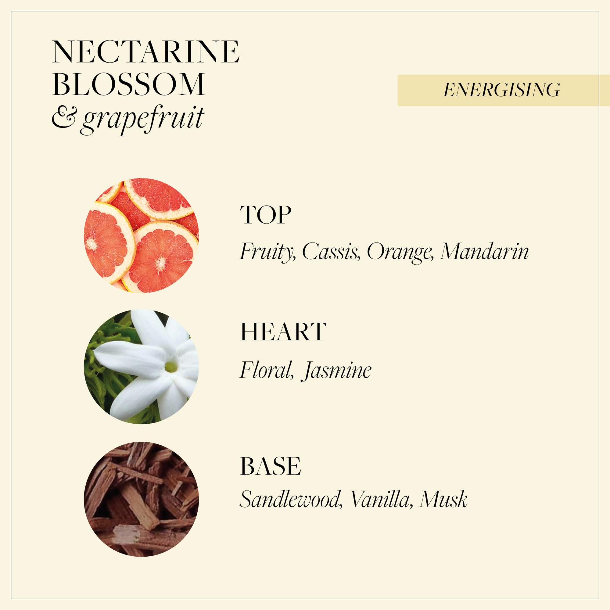 image of top, heart and base note ingredients