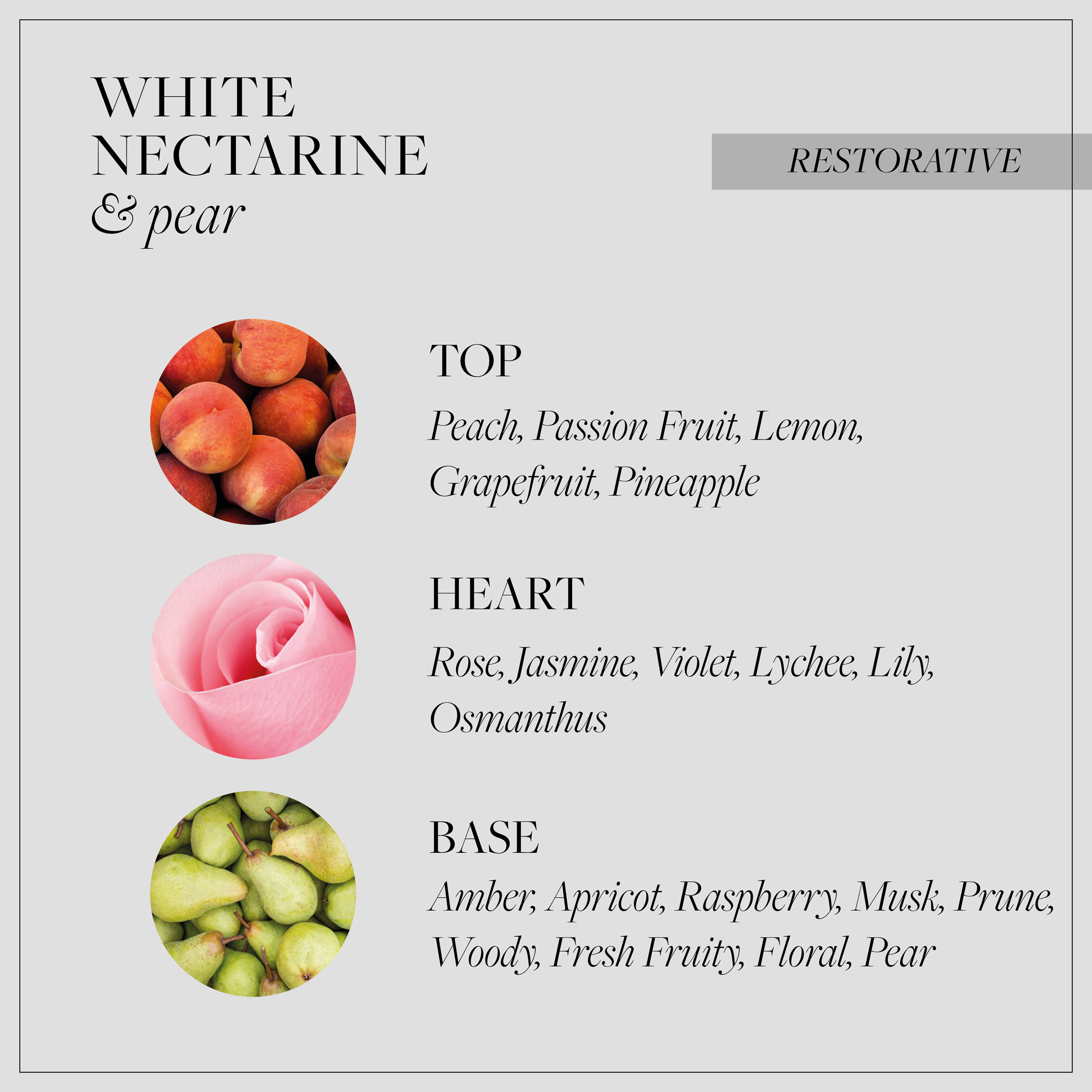 image of top, heart and base note ingredients
