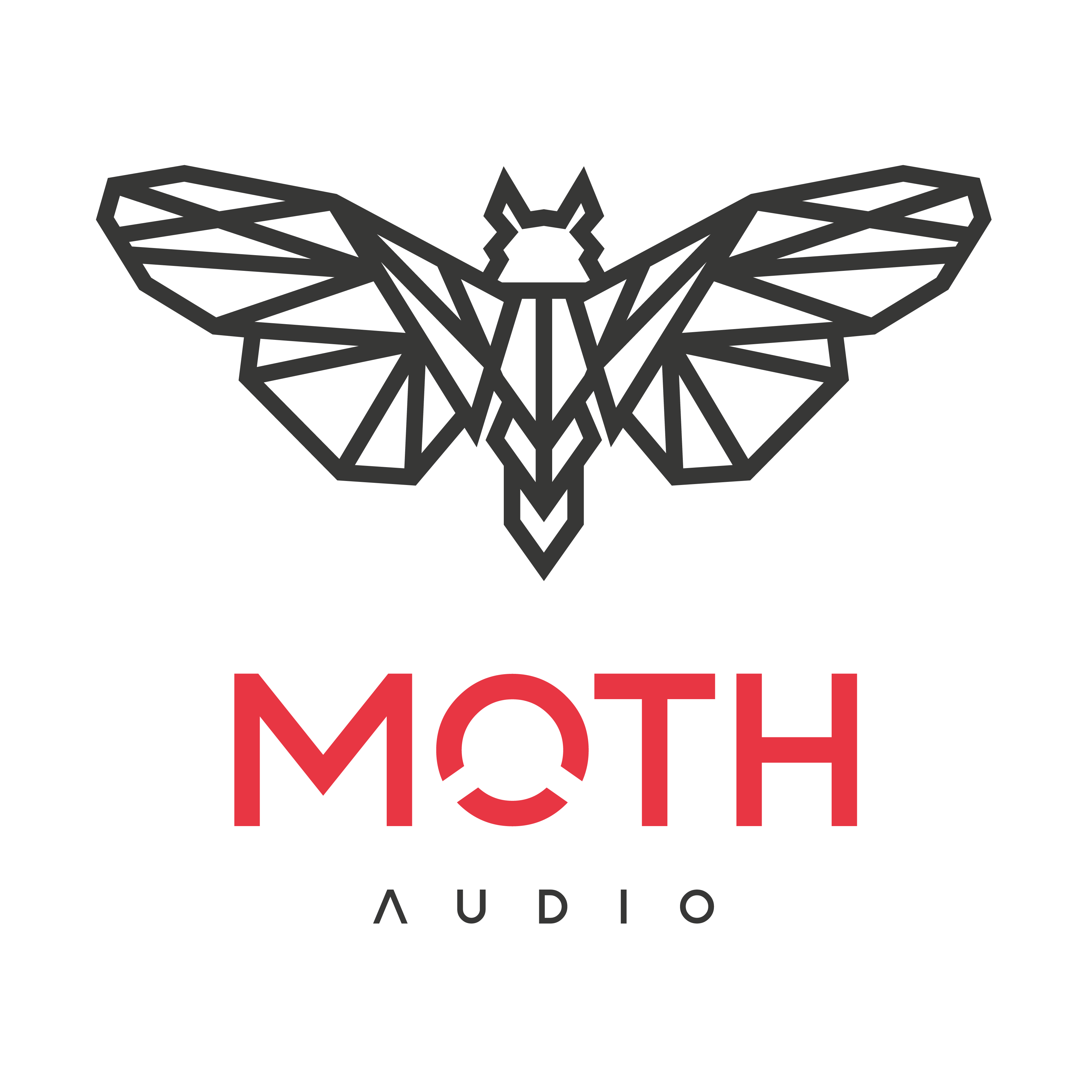 Moth Line Art Logo Negro