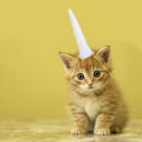 Accoutrements Inflatable Unicorn Horn For Cats Gifts Zavvi Us