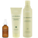 Aveda Volumen Haarpflege Trio Pure Abundance Shampoo, Conditioner & Purescription Volumising Tonic