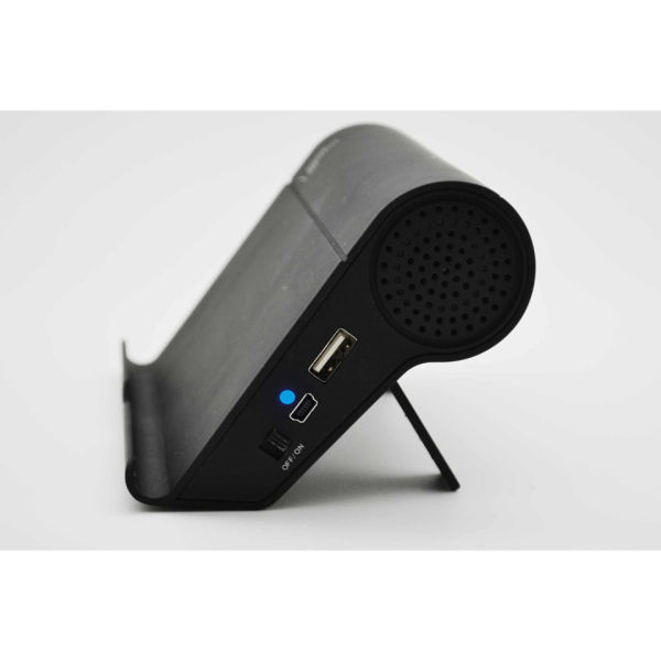 Induction Speaker and Stand Black IWOOT