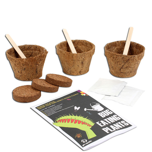 Do Sow Bugs Eat Plants at Jesus Savoie blog