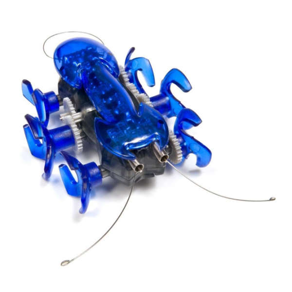 hexbug ant