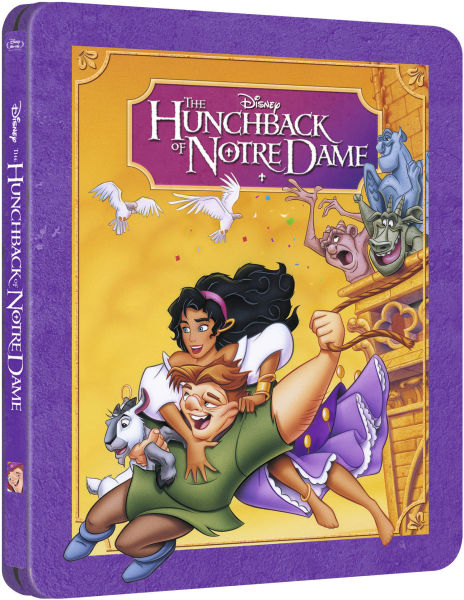 Hunchback of notre dame book report