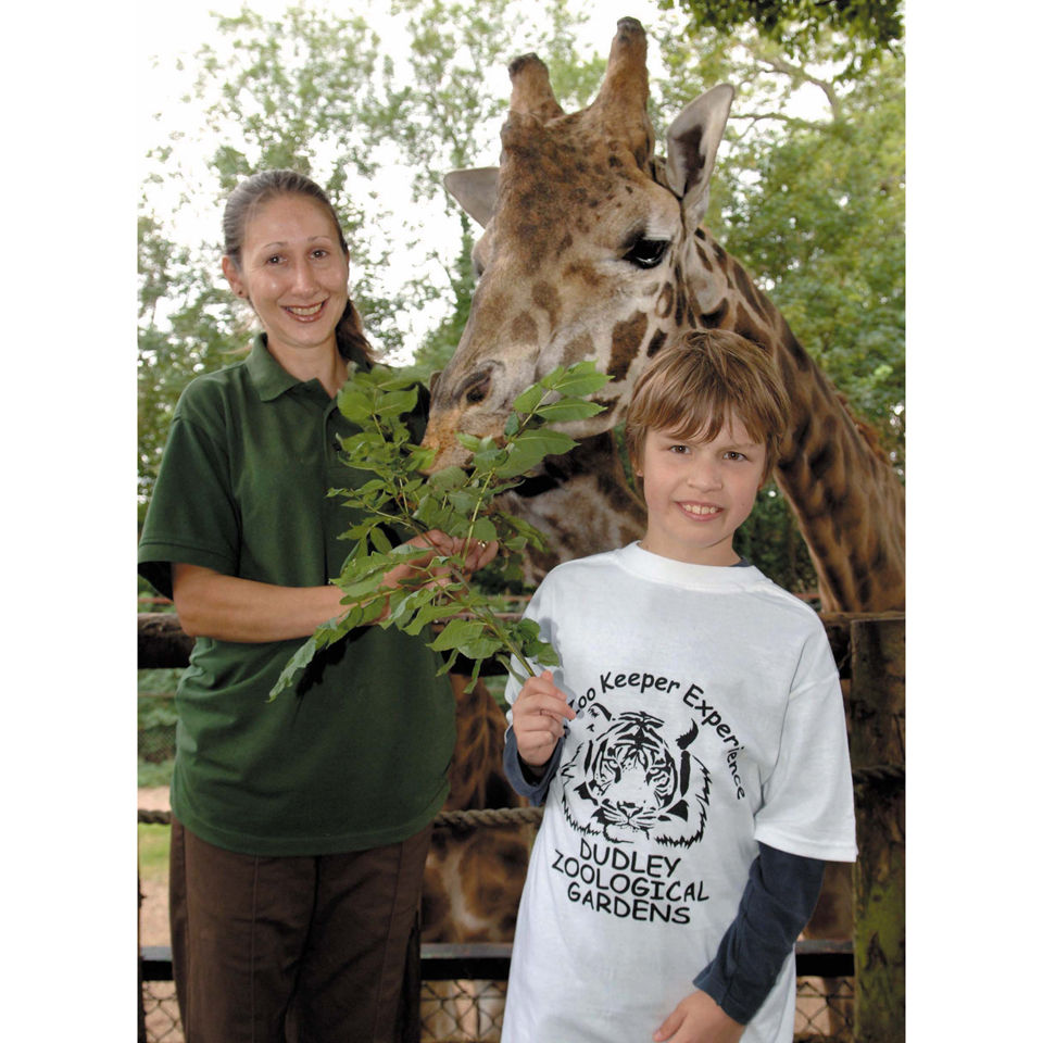 Zookeeper For A Day At Dudley Zoo Iwoot Uk