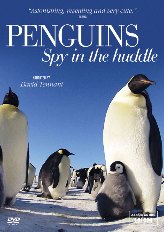 Penguin Spy in the Huddle DVD | Zavvi.com