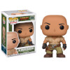 pop vinyl jumanji