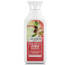 JASON Hair Care Jojoba and Castor Oil Shampoo 473ml