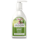 JASON Moisturizing Herbs Body Wash 887ml JASON Moisturizing Herbs Body Wash 887ml