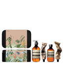 Aesop The Avid Explorer Collection