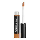Dermablend Smooth Liquid Camo Concealer (Various Shades)