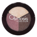 Osmosis Color Eye Shadow Trio - Spice Berry
