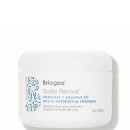 Briogeo Scalp Revival Charcoal Coconut Oil Micro-Exfoliating Shampoo (8 oz.)