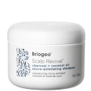 2. Natural: Briogeo Scalp Revival Charcoal + Coconut Oil Micro-Exfoliating Shampoo