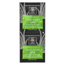 APIVITA Express Moisturizing Face Mask - Aloe 2 x 8 ml APIVITA Express Moisturizing Face Mask - Aloe 2 x 8 ml