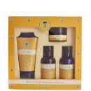 Bee Lovely Nourishing Collection