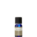 Grapefruit Organic Essential Oil 10ml