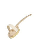 Body Brush