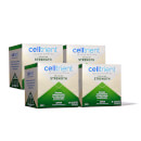 Cellular Strength | Lemon Flavor Drink Mix | 1-Month (56-Packets)