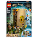 LEGO Harry Potter: Hogwarts Herbology Class Set (76384)