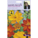 Cosmos Bright Lights Seeds