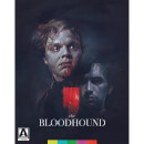 The Bloodhound