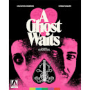 A Ghost Waits